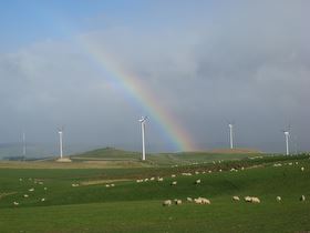 rainbow arching over turbines and sheep at Mahinerangi wind farm