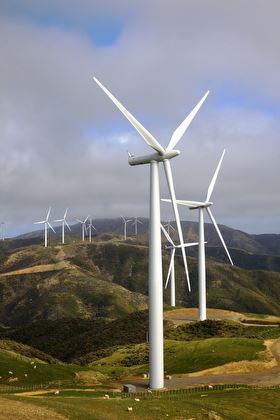 Turbines ranging across the wellington hills at West Wind